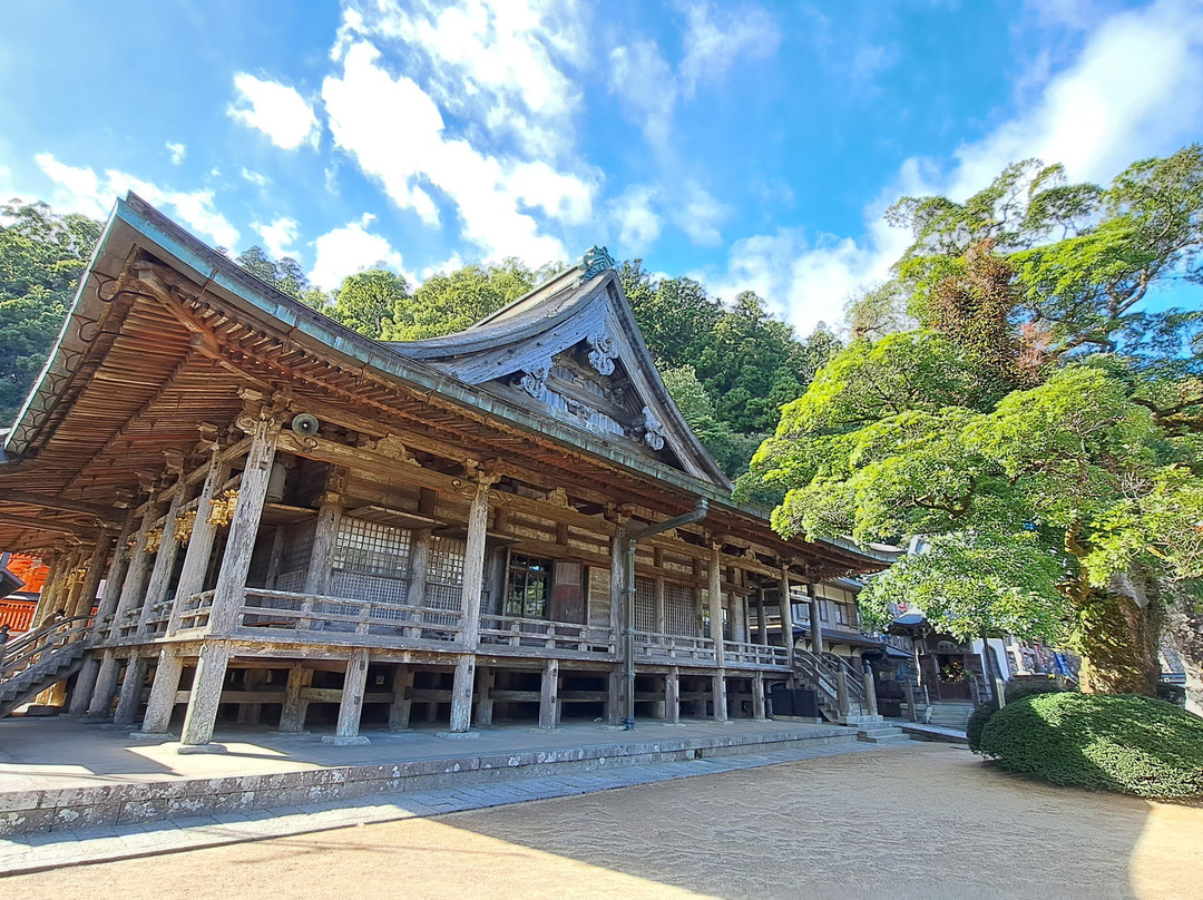 Nachisan Seigantoji Temple-那智胜浦町必去景点