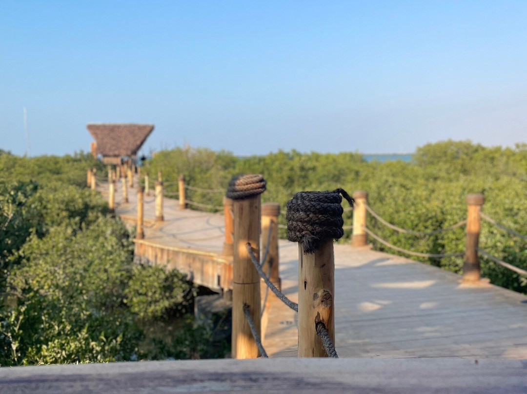 UAQ Mangrove Tours-乌姆盖万必去景点