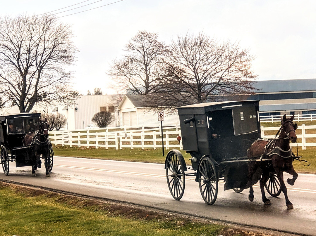 Buggy Lane Tours-Shipshewana必去景点
