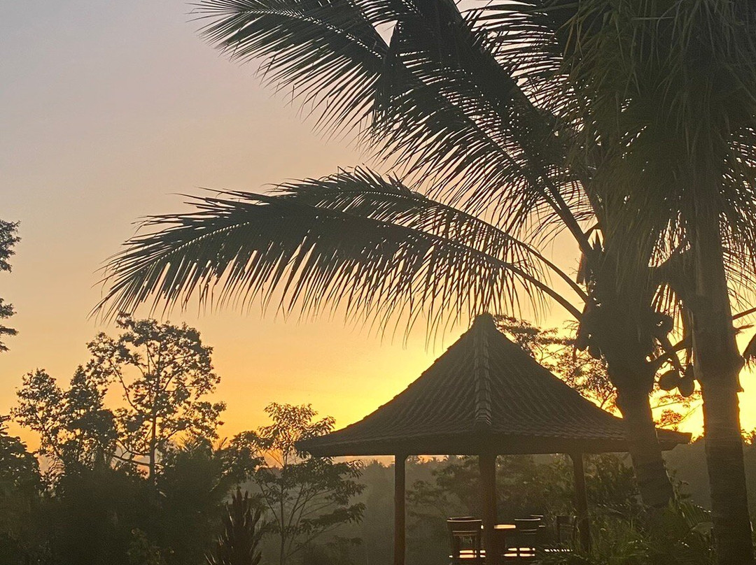 The Fire Flies Garden-吉安雅必去景点