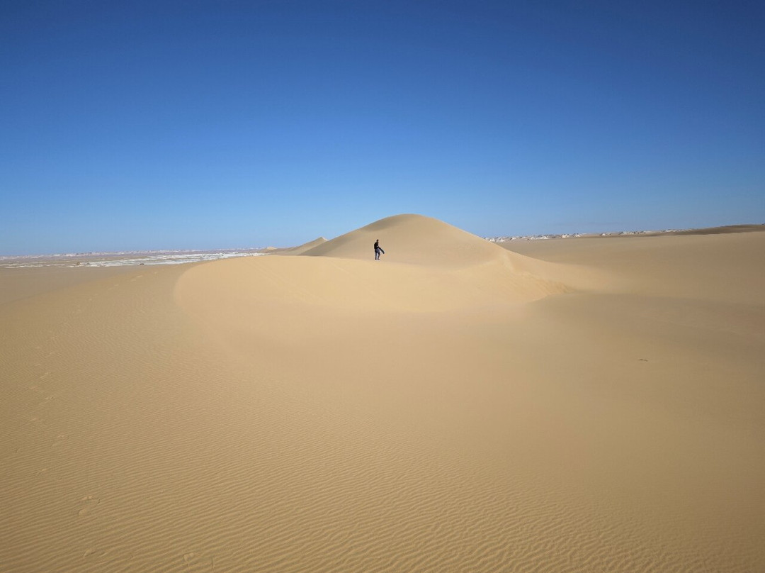 Desert Egypt Safari景点图片
