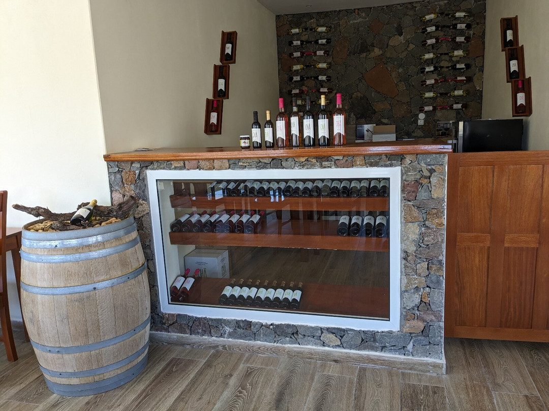 绿州科巴蒂娜酒店