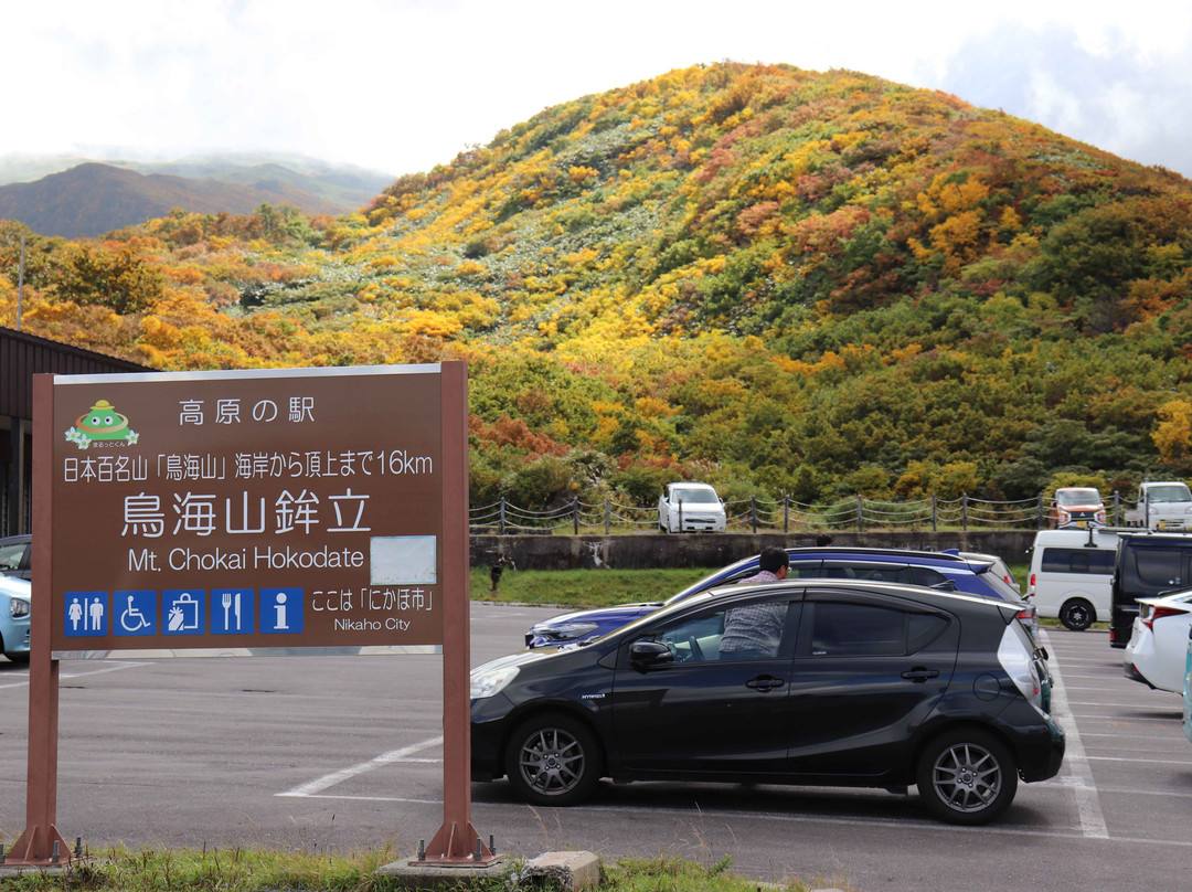 Hokodate Observatory景点图片