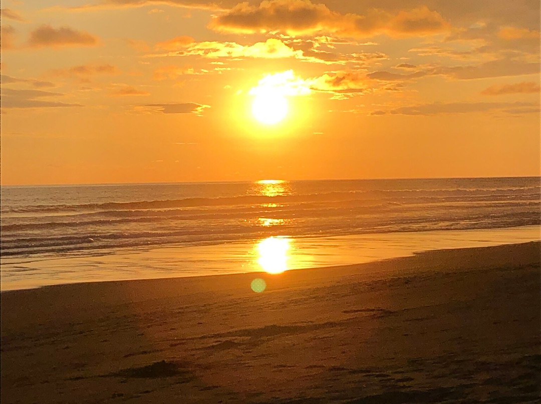 Cocomar Beachfront Hotel主图