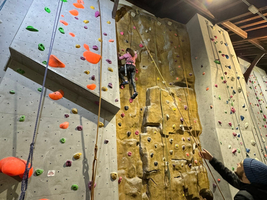 Newcastle Climbing Centre-纽卡斯尔必去景点