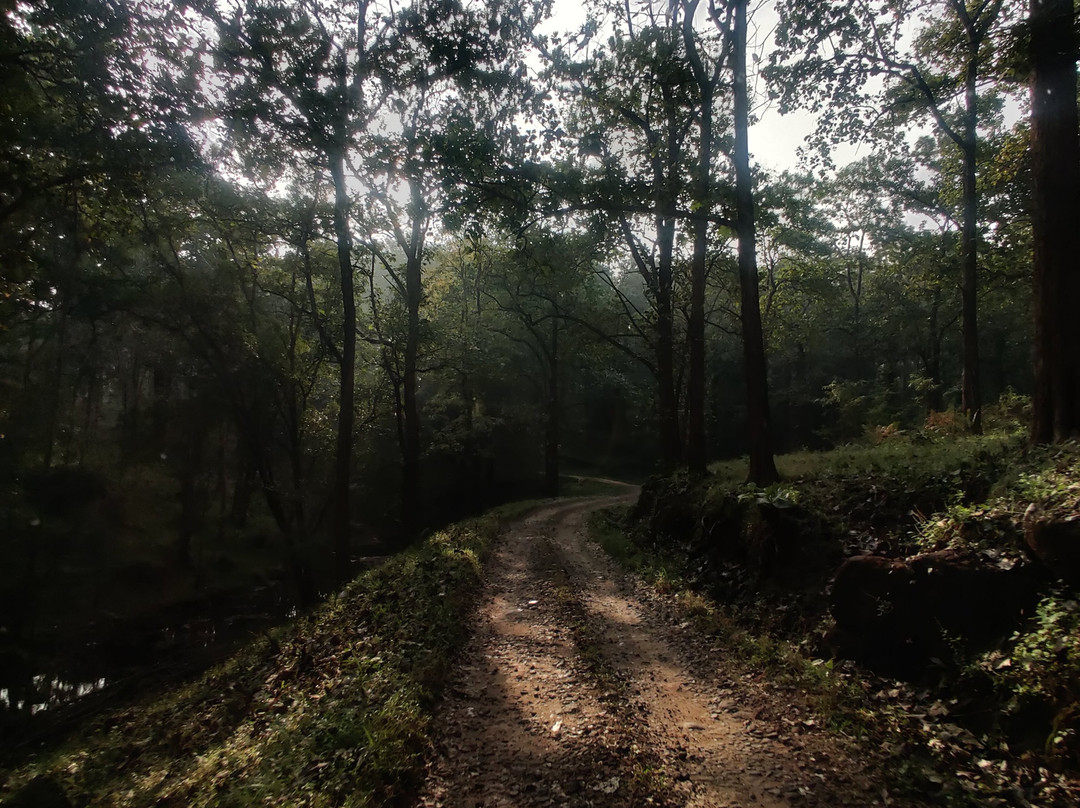 Parambikulam Tiger Reserve-Palakkad必去景点