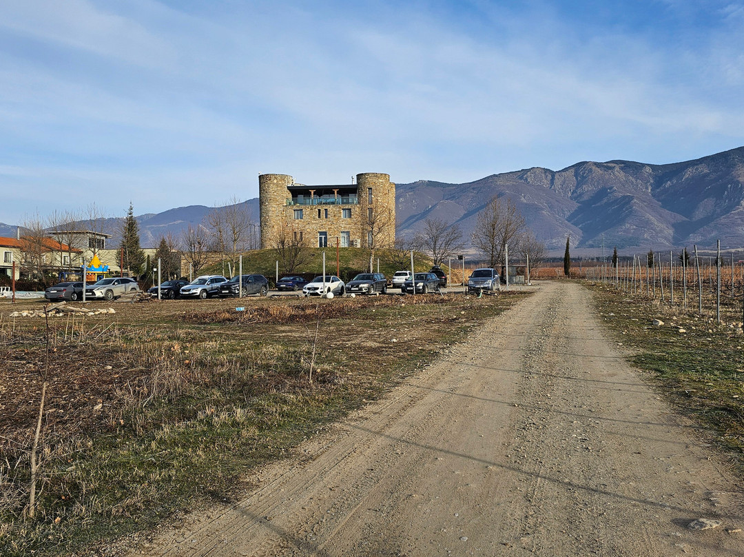 Chateau Copsa Complex主图
