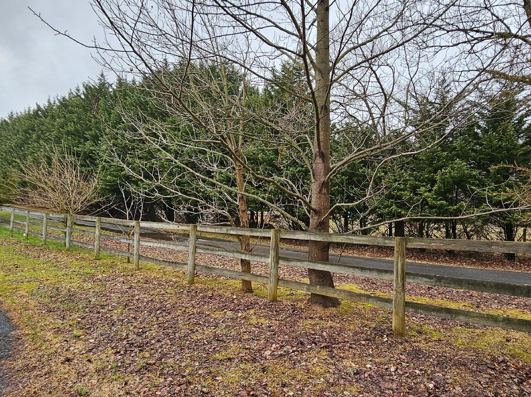 Prospect Mill Park-Bel Air必去景点