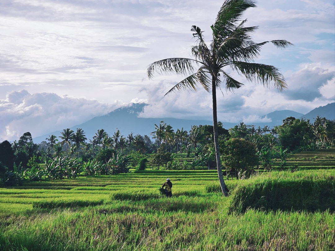 Bromo Vacation-泗水必去景点