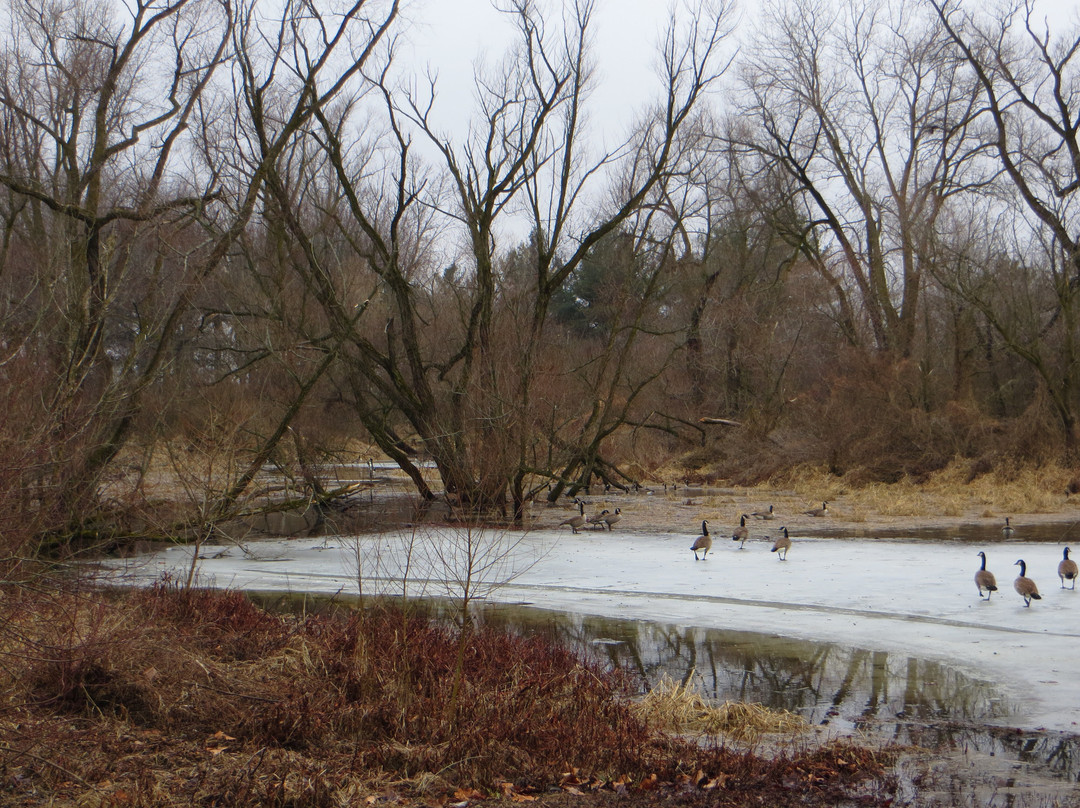 Argos Community Park-Argos必去景点