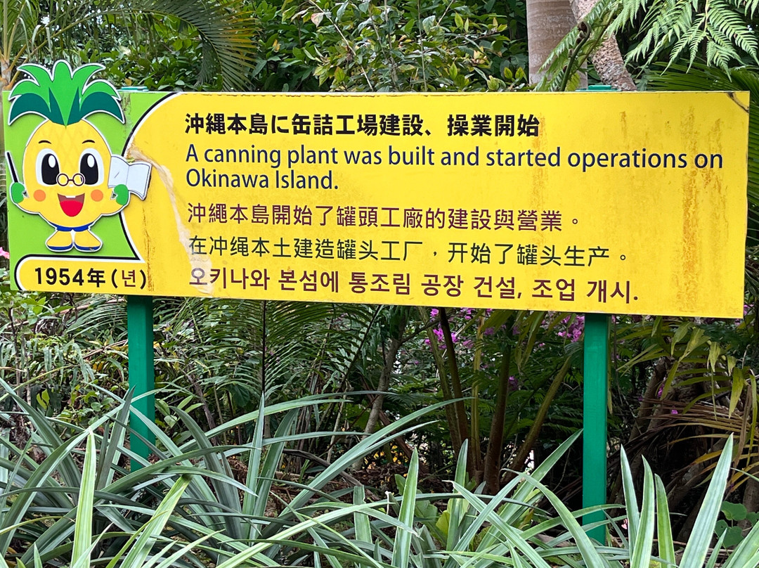 名护菠萝园-名护市必去景点