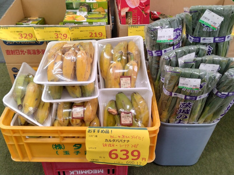 Miyatora Family Store-新岛村必去景点