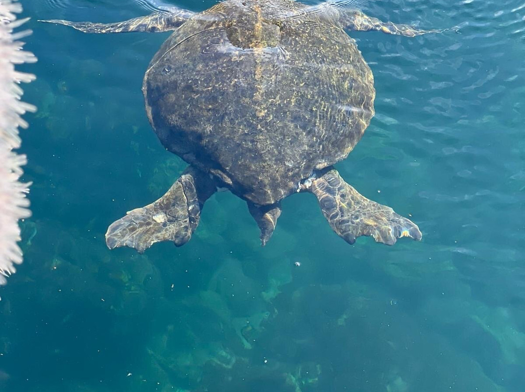 Sharksky Ecoadventures Galapagos景点图片