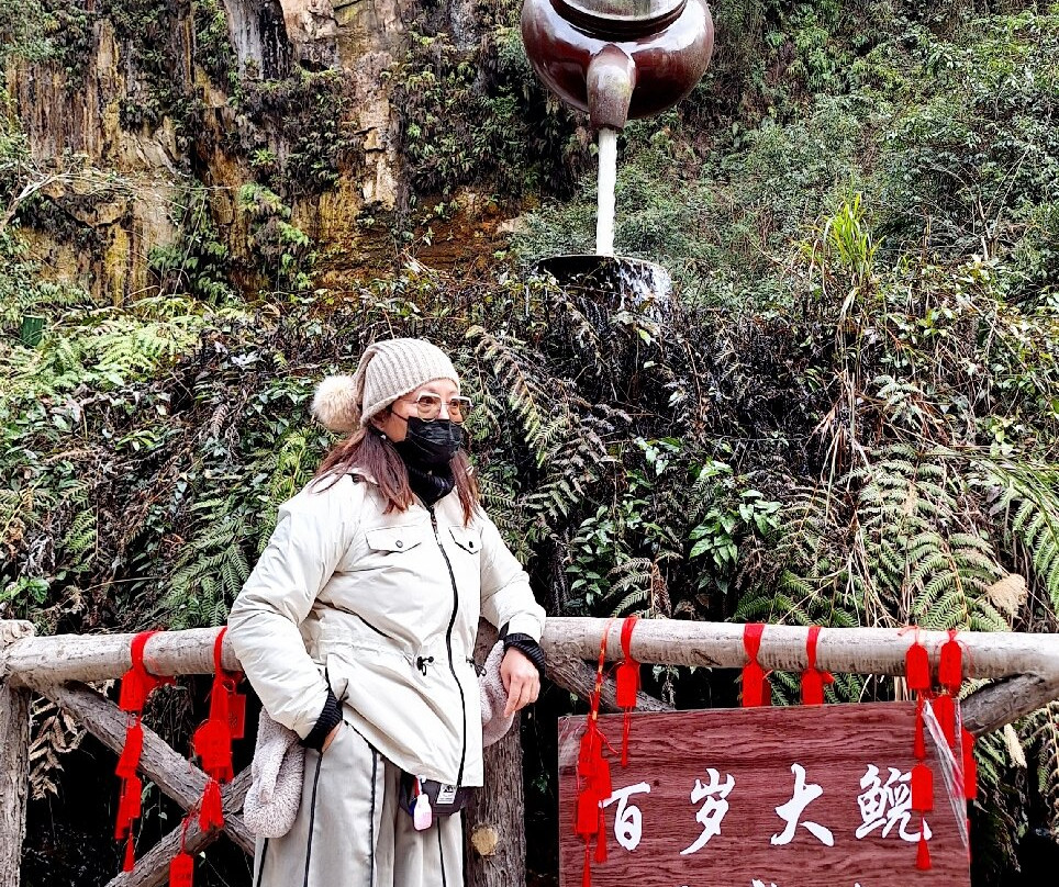 大鲵保护区-张家界市必去景点