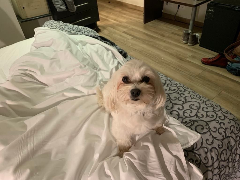 菲格雷斯公园酒店主图