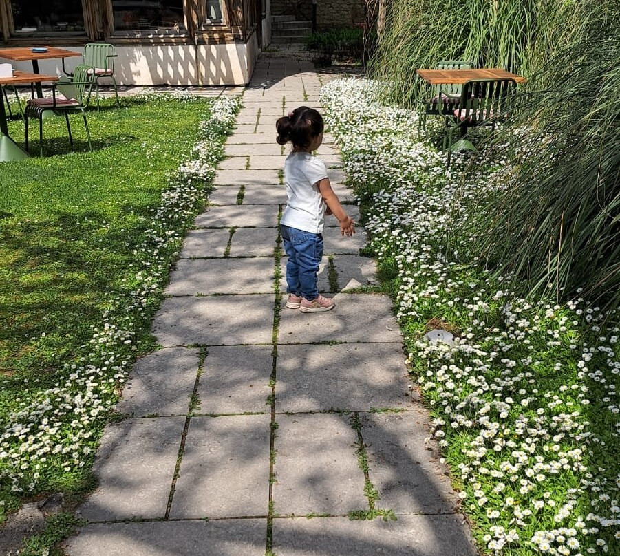 Gulevi Safranbolu Hotel主图