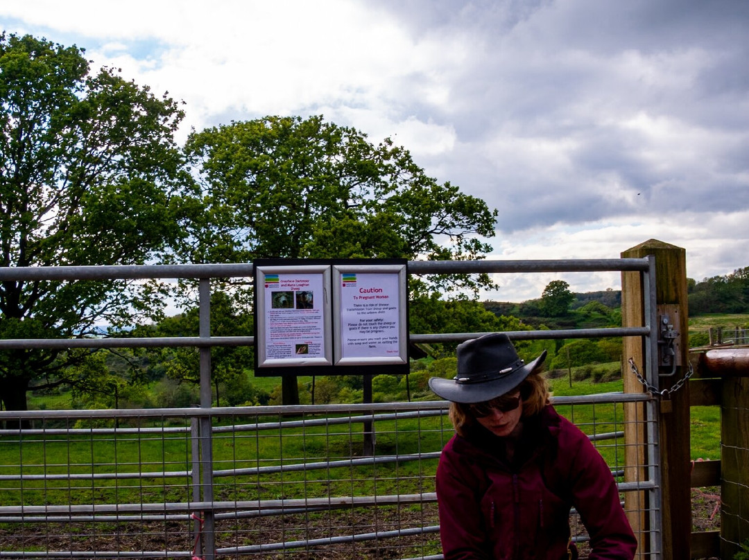 Hadleigh Farm - Rare Breeds Centre景点图片