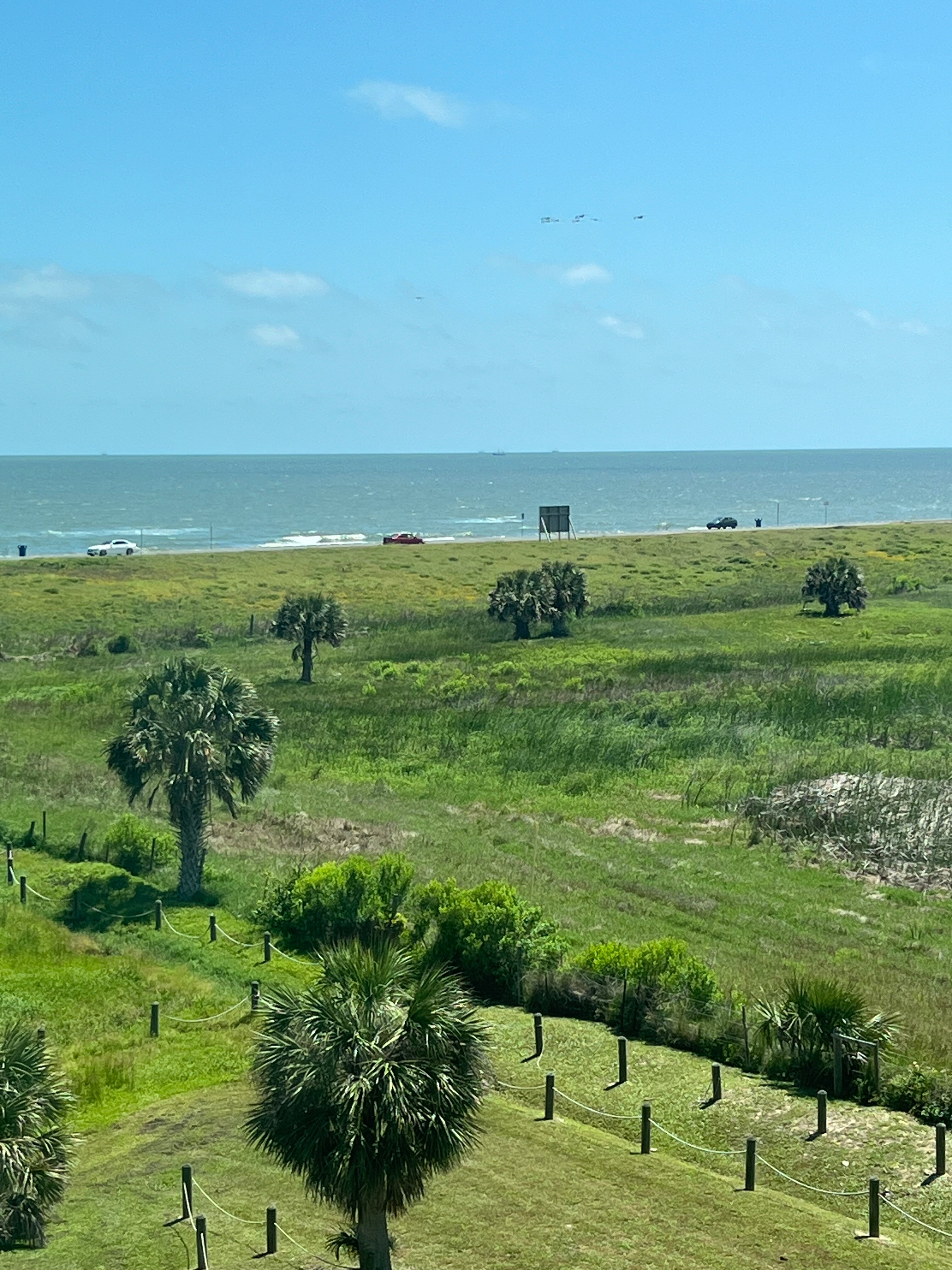 Towneplace Suites Galveston Island-酒店景观
