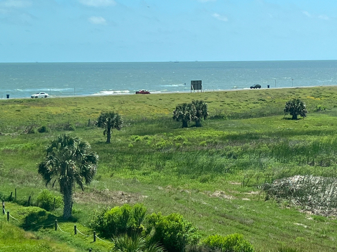 TownePlace Suites by Marriott Galveston Island主图