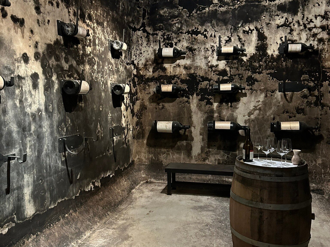 Bodega Alpamanta-路冉得库约必去景点