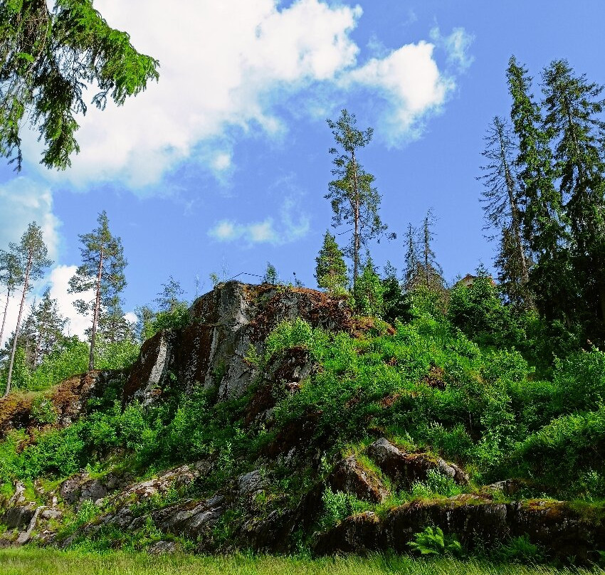 Vakkosalmi Park景点图片
