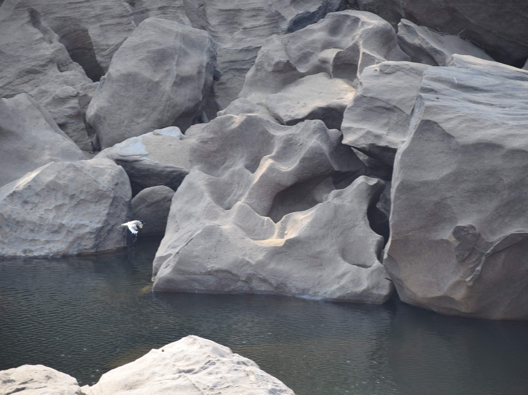 Satpura Tiger Reserve景点图片