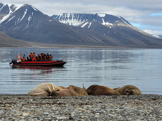 Svalbard Bus and Taxi-朗伊尔城必去景点