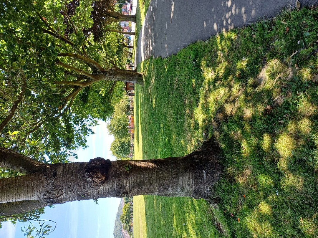 Radnor Park-福克斯通必去景点