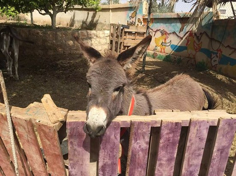 奥贝格旅馆主图