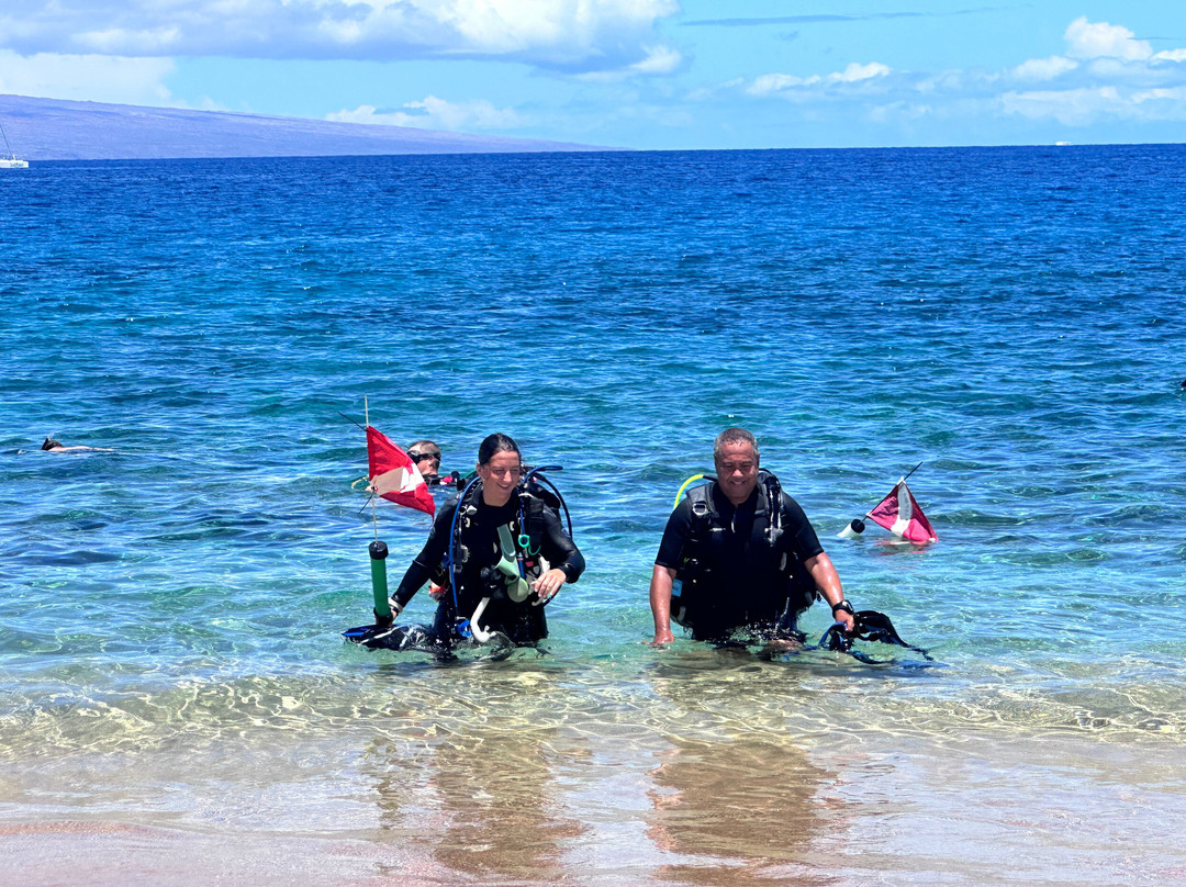 Aloha Maui Diving景点图片
