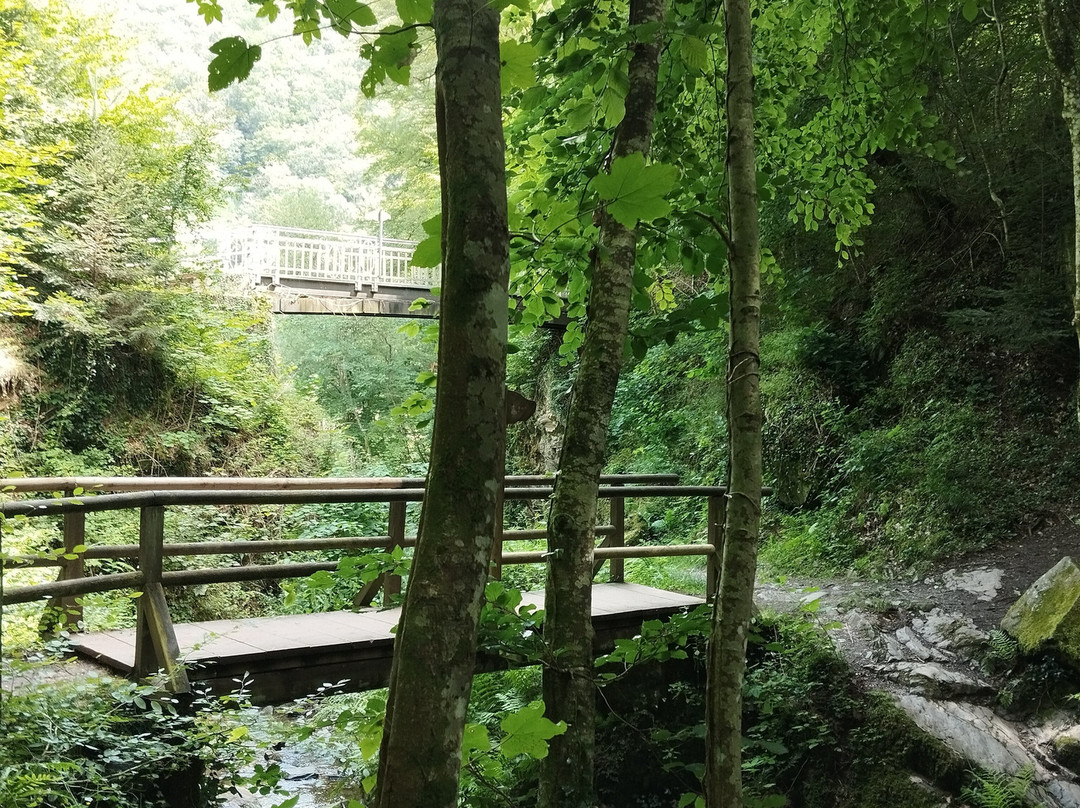 Elfengrotte-Bad Bertrich必去景点