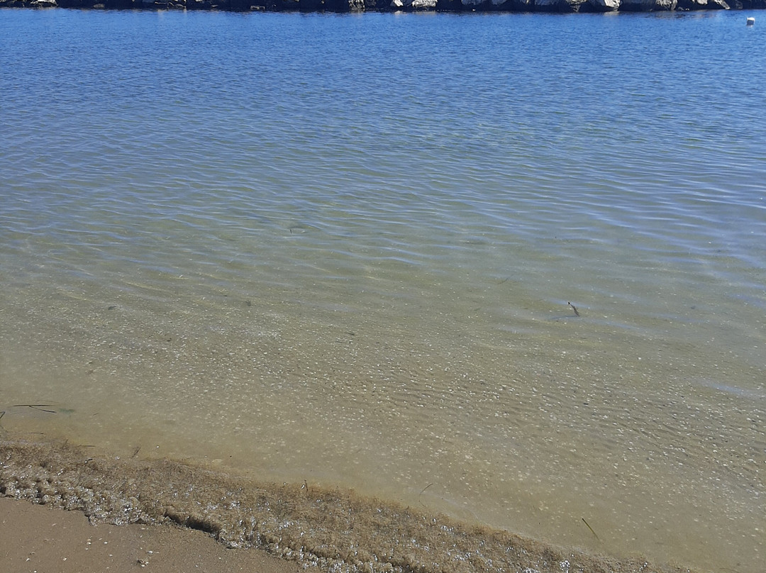 Bagno  Giorgio 62 NORD-Torre Pedrera必去景点