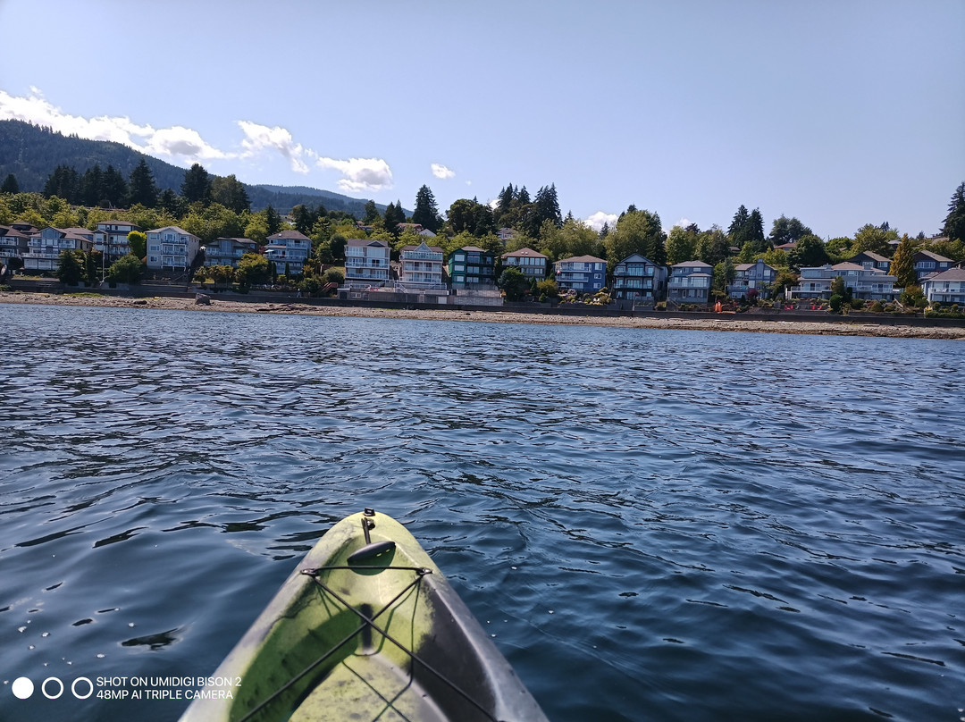 Sealegs Kayaking & Marine Adventures景点图片