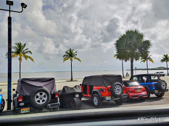 Key West Adventures-基韦斯特必去景点