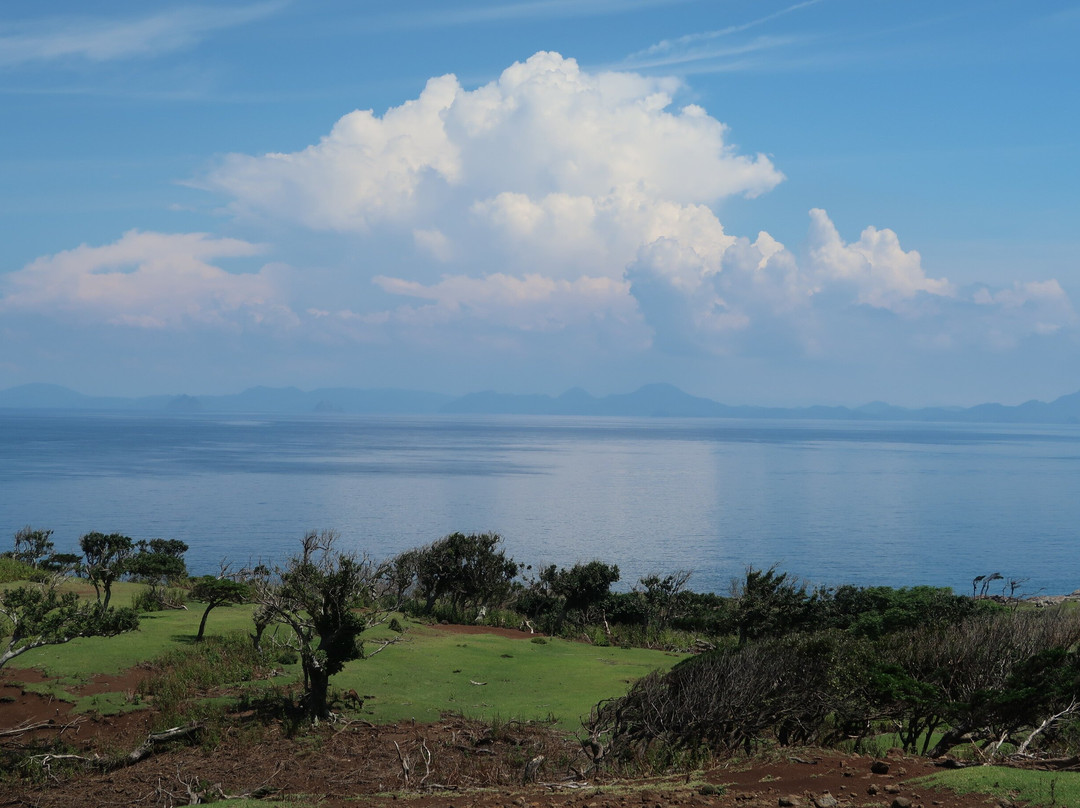 Nozakijima Visitor Center-小值贺町必去景点