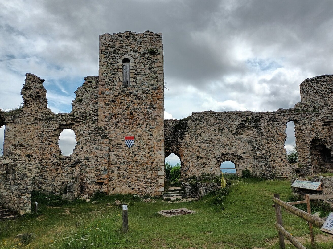 Château d'Urfé景点图片