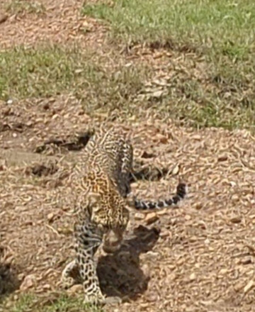 Medoti African Safaris-纳罗克必去景点