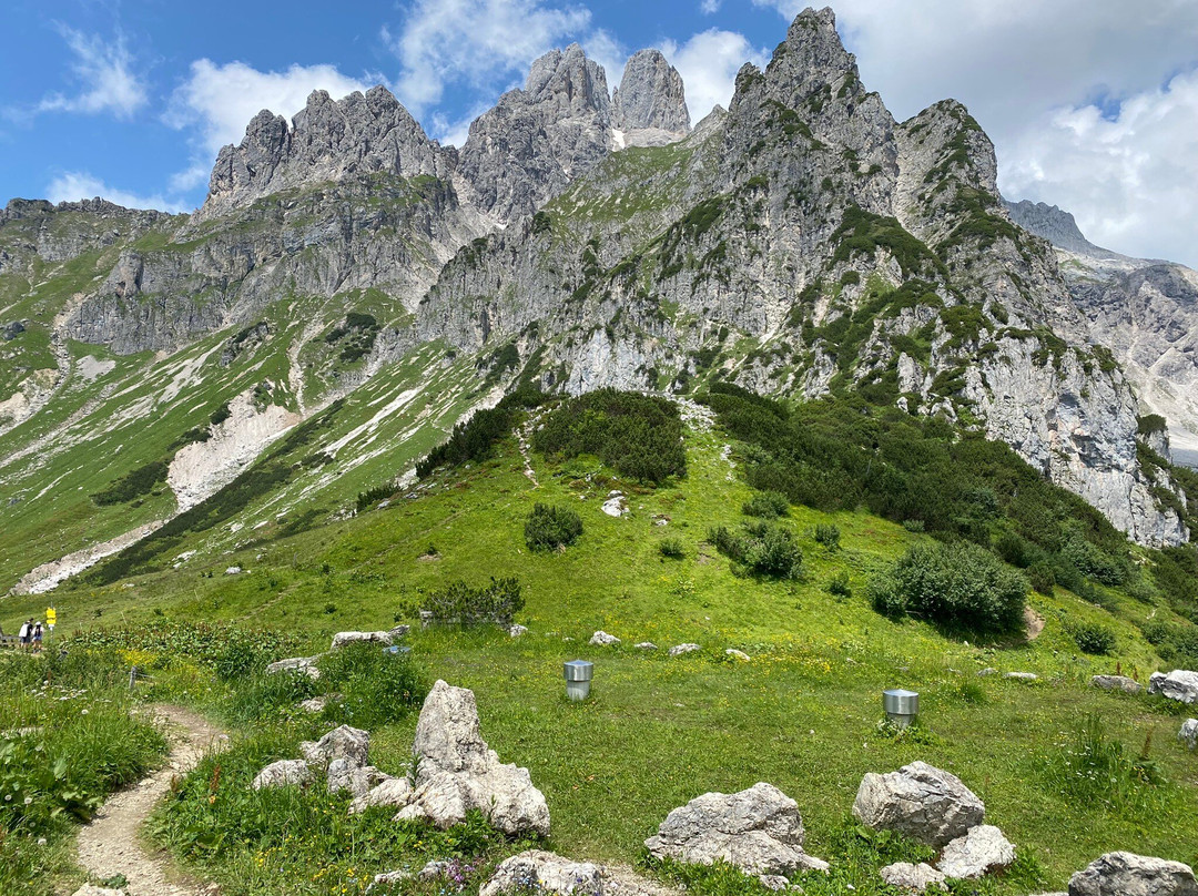 Hotel Alpenkrone主图