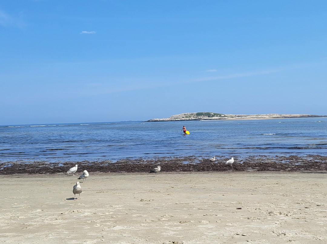 Popham Beach State Park-Phippsburg必去景点