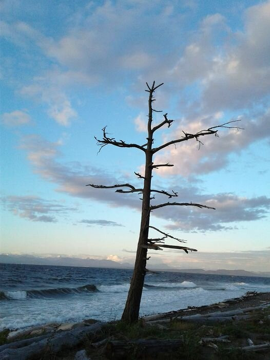 Kin Beach Provincial Park景点图片