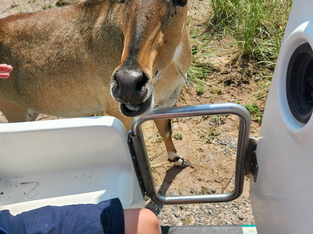 R Lazy J Wildlife Ranch-Eagar必去景点