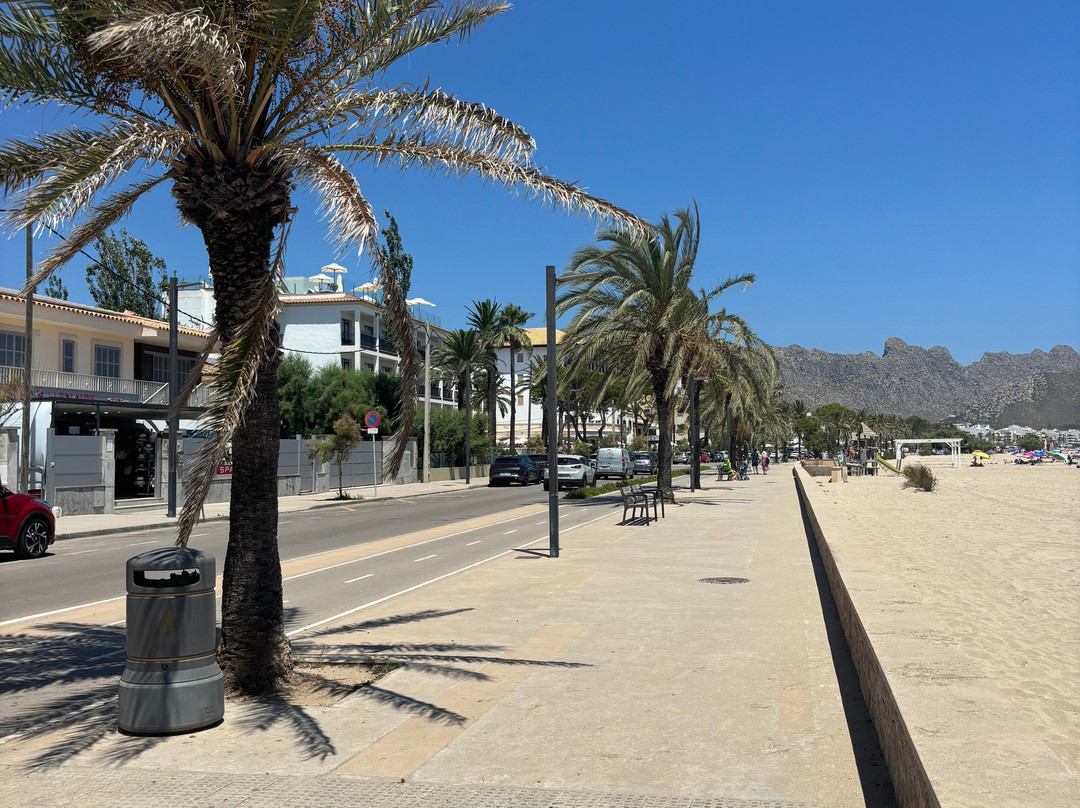 Hotel Bahía Pollensa主图