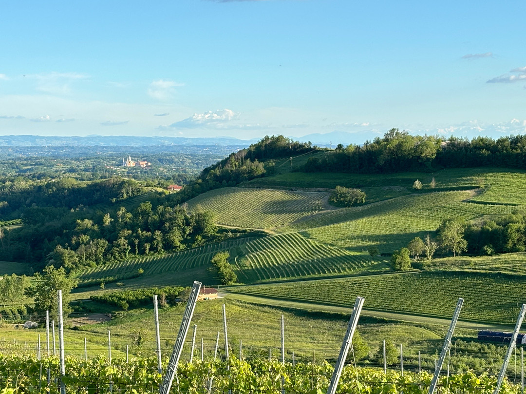 La Volpe Tra Le Vigne B&B主图