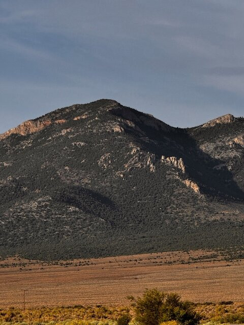 Stargazer Inn & Bristlecone General Store主图