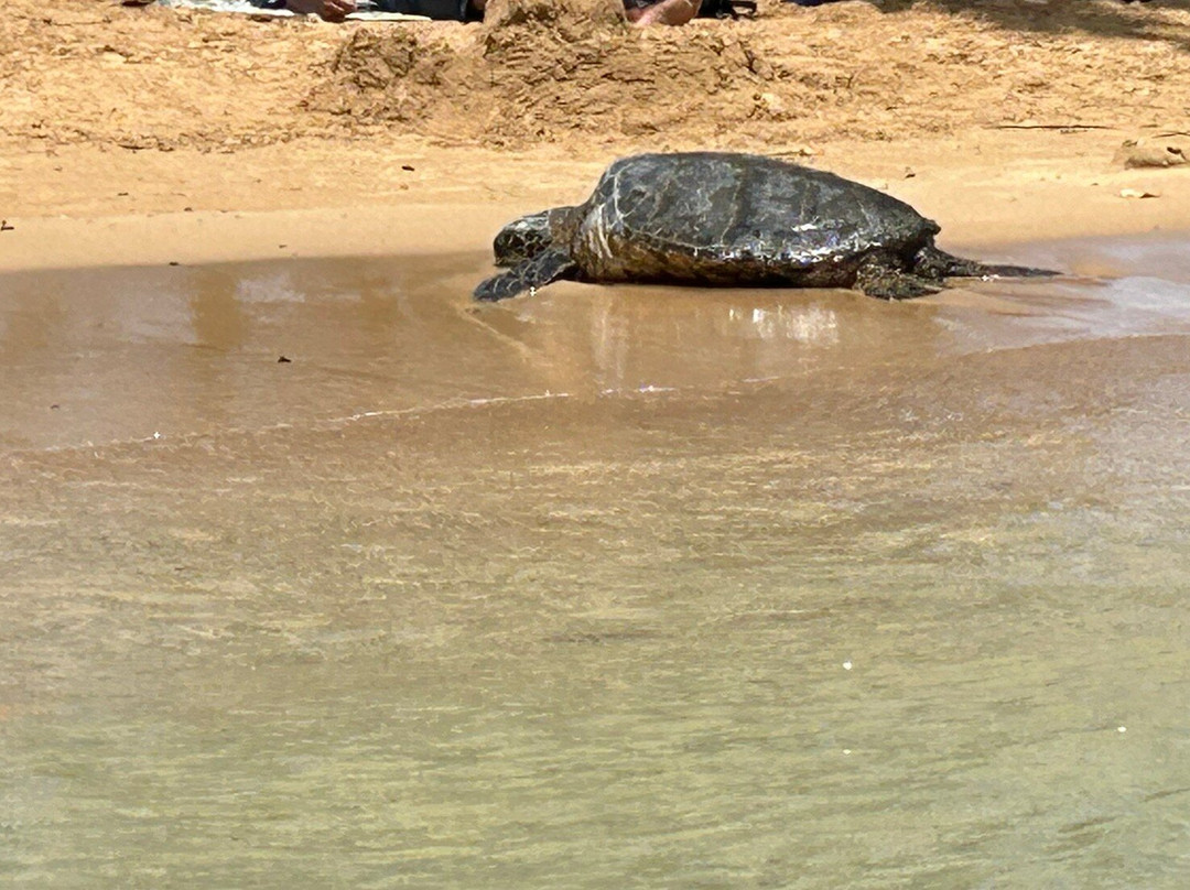 Baby Beach-坡伊普必去景点
