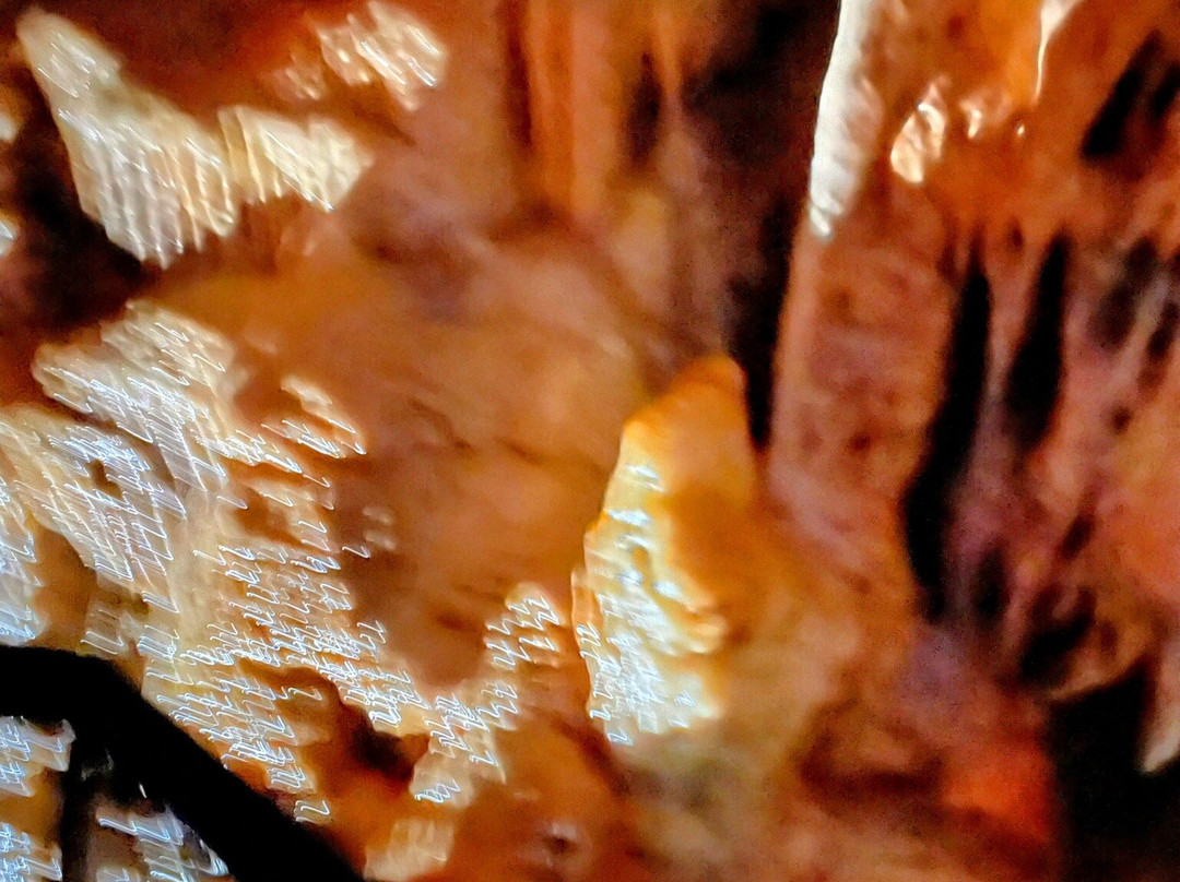 Grotte De Tourtoirac景点图片