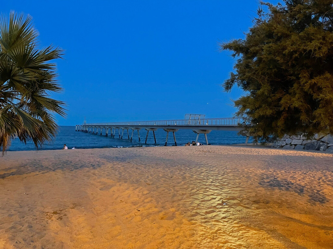 Playa de la Estacion景点图片