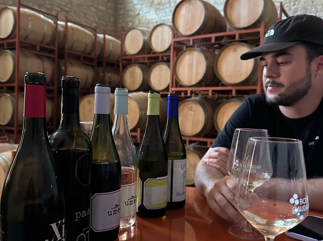 Bodegas Caudalia-Lerga必去景点