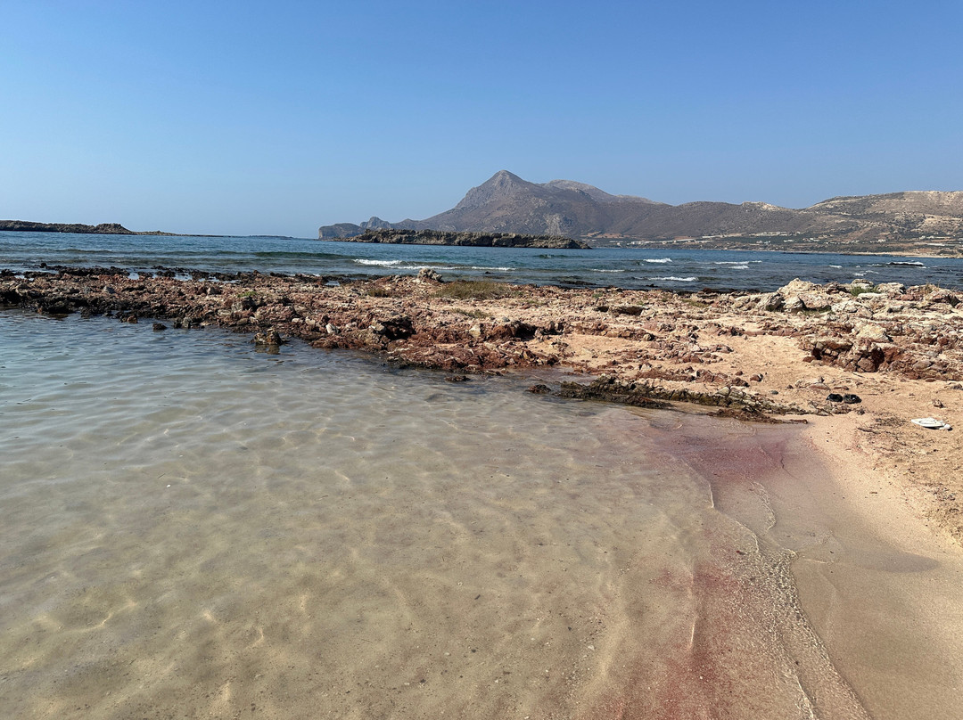 Tiny Beach Pink Sand景点图片