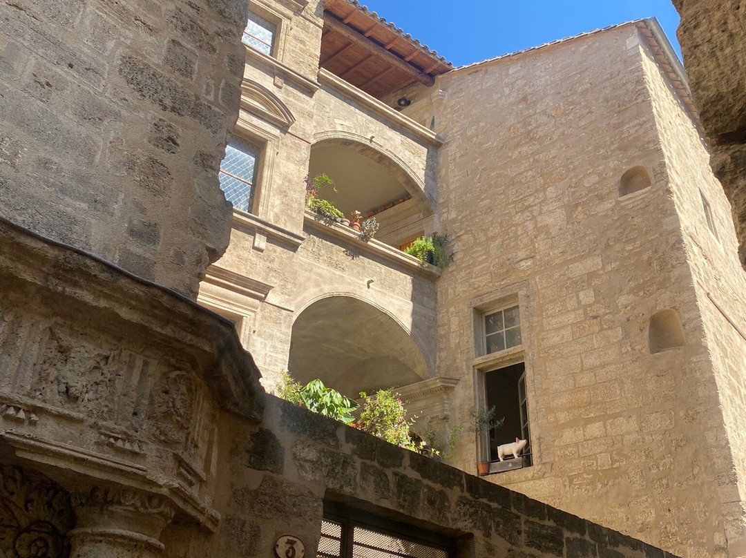 Marché De Pézenas-佩兹纳斯必去景点